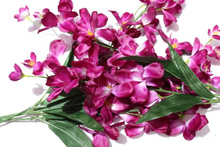 Téléchargez les photos : Fleurs artificielles d'orchidées colorées pour la décoration à la maison isolées sur fond blanc - en image libre de droit