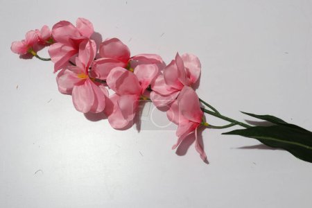 Foto de Flores artificiales coloridas de las orquídeas para la decoración casera aislada en fondo blanco - Imagen libre de derechos