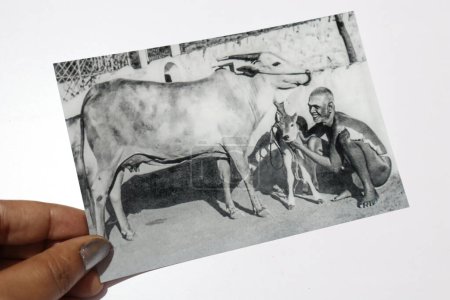 Téléchargez les photos : Carte postale noir et blanc avec Ramana Maharshi avec des animaux - en image libre de droit