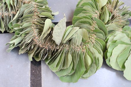 Butea Monosperma Leaves garland Isolated on wood background