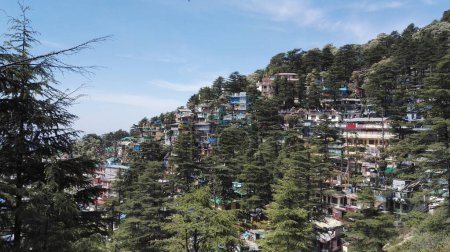 Téléchargez les photos : Bâtiments colorés à flanc de colline dans la destination de voyage spirituelle Dharamshala, Inde. Photo de haute qualité - en image libre de droit