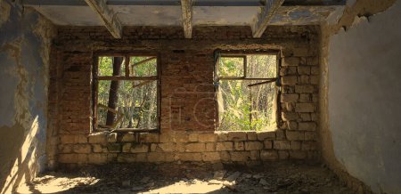 Foto de Por una ventana a una calle con árboles en una antigua casa abandonada - Imagen libre de derechos