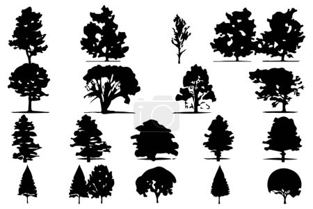 Illustration for Trees and forest silhouettes set isolated vector illustration - Royalty Free Image