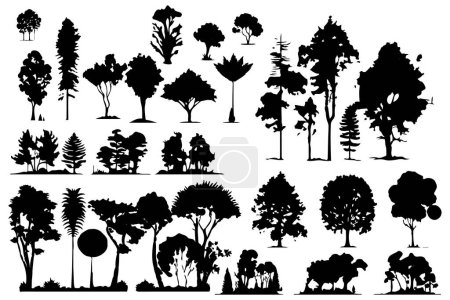 Téléchargez les illustrations : Arbres et silhouettes forestières ensemble illustration vectorielle isolée - en licence libre de droit