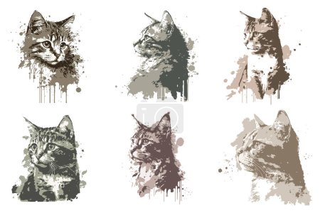Téléchargez les illustrations : Illustration vectorielle de chat aquarelle - en licence libre de droit