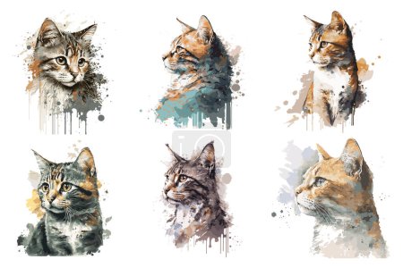 watercolor cat vector illustration