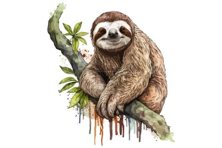 Téléchargez les illustrations : Illustration vectorielle de Sloth aquarelle - en licence libre de droit