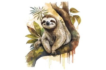 Illustration vectorielle de Sloth aquarelle