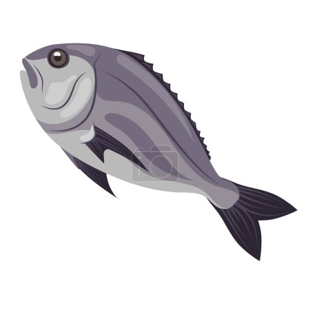 Illustration for Fresh sea dorado fish, fresh seafood. Vector illustration - Royalty Free Image