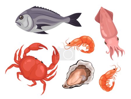 Téléchargez les illustrations : Ensemble d'animaux de mer frais, fruits de mer frais. Illustration vectorielle - en licence libre de droit