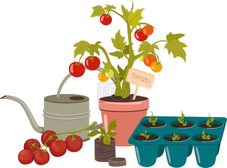 Composición del jardín cultivando tomates, hobby de jardinería. conjunto de varios accesorios de jardín