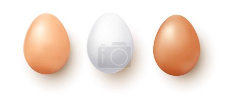 Illustration for Set of three chicken eggs of different color shells, vector realistic. - Royalty Free Image