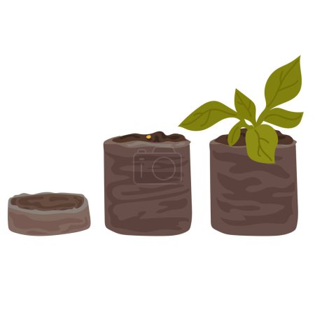 Illustration for Soil in a tablet for growing seedlings. Agriculture - Royalty Free Image
