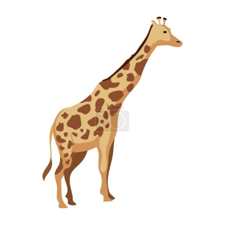 wild giraffe design over white