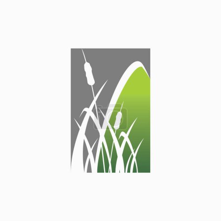 Illustration for Logo design graphic concept creative premium vector stock sign cattails or river reed grass roots plant. Related nature aquatic swamp leaf agriculture - Royalty Free Image