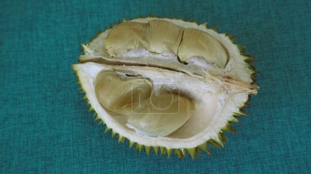 Opened durian fruit.Ripe Durian is known as King of fruits. It is smelly and the shell is covered with nails.