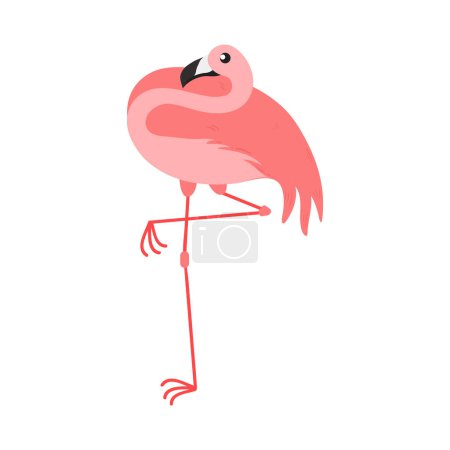 Téléchargez les illustrations : Illustration de dessin animé rose Flamingo isolé en arrière-plan blanc. Illustration d'animaux d'été - en licence libre de droit