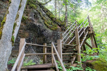Foto de Escaleras de madera en acantilados de arenisca en Krauklu aiza un ala (Raven 's Ravine and Cave) en el Parque Nacional Gauja, Sigulda, Letonia - Imagen libre de derechos