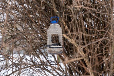 Alimentador casero de aves de botella de plástico