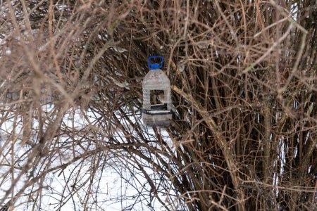 Hausgemachtes Vogelfutter aus Plastikflasche mit Vögeln darin