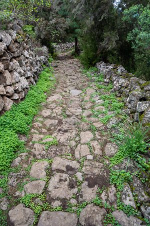 Sentier de randonnée rocheux menant à Cueva del Viento à Icod de los Vinos, Tenerife, Espagne