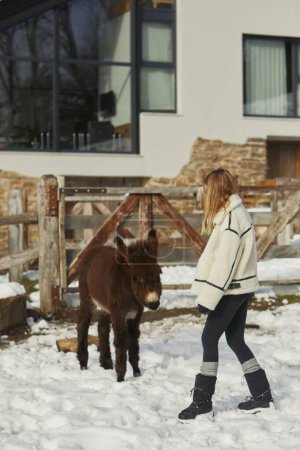 Woman interacts with a donkey near a snow-covered fence.