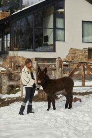 Woman interacts with a donkey near a snow-covered fence.