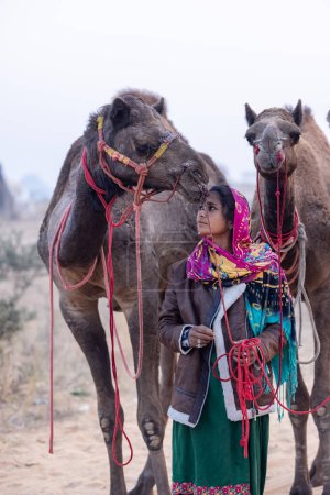 Téléchargez les photos : Pushkar, Rajasthan, India - November 24 2023: Portrait of an young Indian rajasthani woman in colorful traditional dress carrying camel at Pushkar Camel Fair ground during winter morning. - en image libre de droit