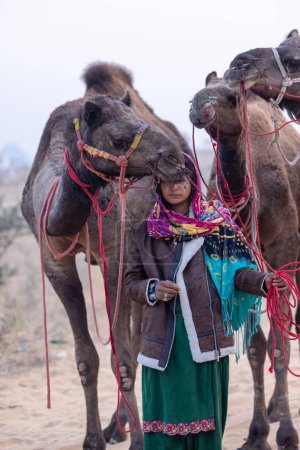Photo for Pushkar, Rajasthan, India - November 24 2023: Portrait of an young Indian rajasthani woman in colorful traditional dress carrying camel at Pushkar Camel Fair ground during winter morning. - Royalty Free Image