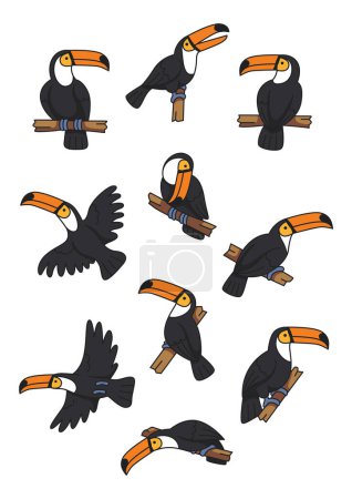 Illustration vectorielle toucan dessin animé mignon
