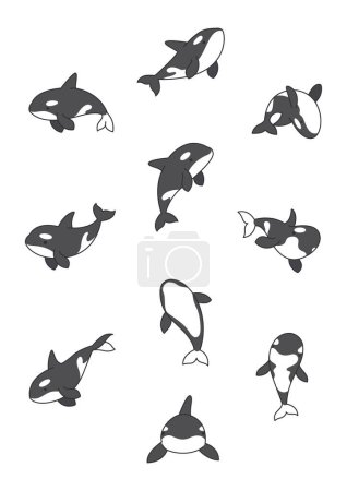 Illustration vectorielle orca mignon