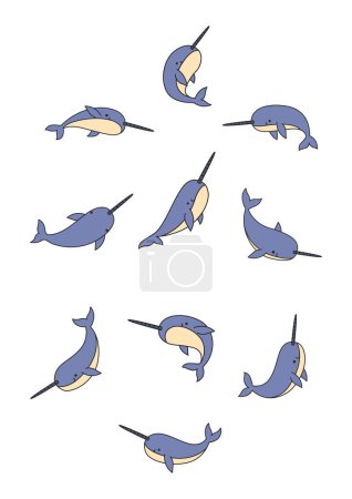 Cute narwhal vector illustration