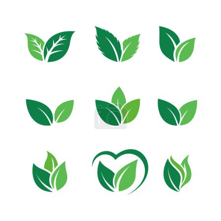 Téléchargez les illustrations : Ensemble d'icônes vectorielles d'inspiration de conception de logo feuille verte - en licence libre de droit