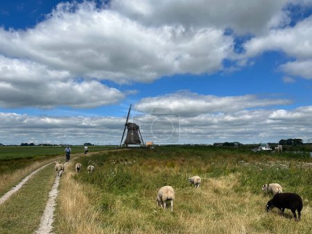 Pareja de ciclismo al lado del molino de viento alrededor de Vegelinsoord en Frisia los Países Bajos