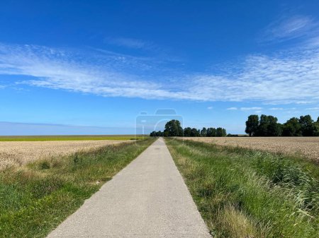 Téléchargez les photos : Route à travers les terres agricoles autour de Oudebildtzijl en Frise aux Pays-Bas - en image libre de droit