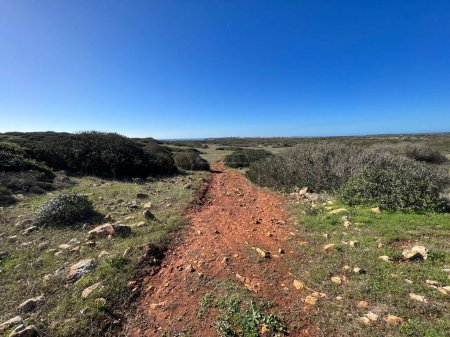 Photo for Gravel road around Sagres in Portugal - Royalty Free Image