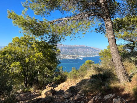 Téléchargez les photos : Sentier de randonnée à Alt del Governador au Parque Natural Serra Gelada autour d'Albir en Espagne - en image libre de droit