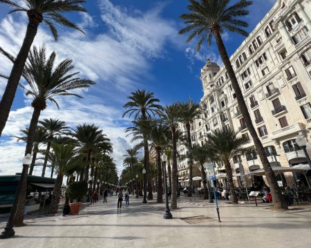 Téléchargez les photos : Boulevard de la ville Alicante Espagne - en image libre de droit