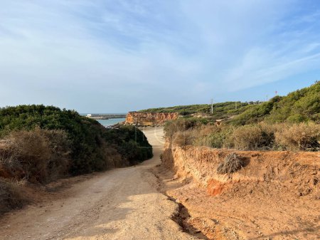 Foto de Camino hacia una playa alrededor de Conil de la Frontera en España - Imagen libre de derechos