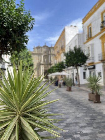 Foto de Calle hacia la Iglesia de San Mateo Apostol en Tarifa, Cádiz - Imagen libre de derechos