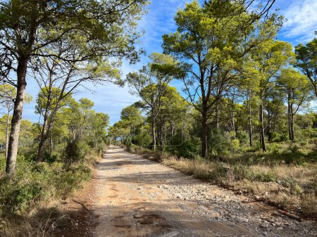Téléchargez les photos : Route de gravier à travers le Parc Naturel del Montgr autour de L Estartit et L Escala en Catalogne Espagne - en image libre de droit