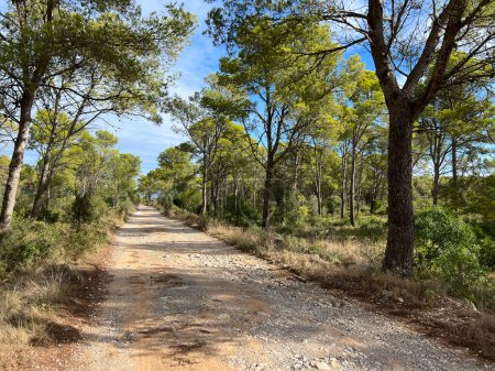 Téléchargez les photos : Route de gravier à travers le Parc Naturel del Montgr autour de L Estartit et L Escala en Catalogne Espagne - en image libre de droit