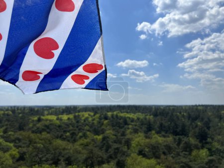 Téléchargez les photos : Vue depuis le bosbergtoren et un drapeau frisien à appelscha, Frise Pays-Bas - en image libre de droit