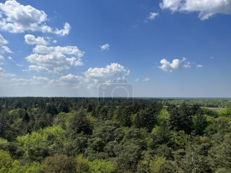 Photo for View from the bosbergtoren in appelscha, Friesland the Netherlands - Royalty Free Image