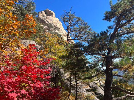 Téléchargez les photos : Forêt d'automne au parc national Seoraksan en Corée du Sud - en image libre de droit