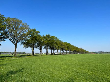 Ackerland rund um Borger in Drenthe Niederlande
