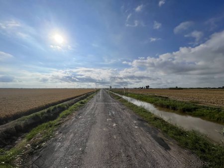 Carretera y tierras agrícolas alrededor de Deltebre en España