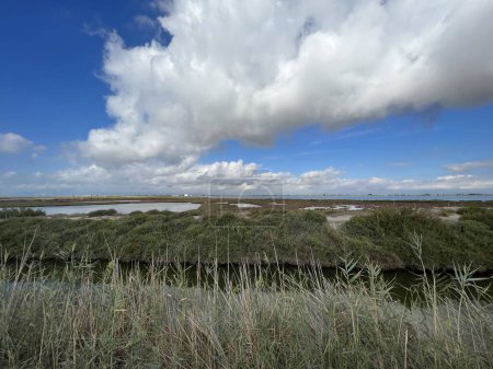 Téléchargez les photos : Paysage au Delta de l'Ebre Nature Reserve en Espagne - en image libre de droit