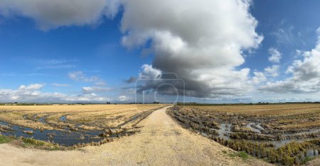 Foto de Panorama desde un camino de grava alrededor de Deltebre en España - Imagen libre de derechos