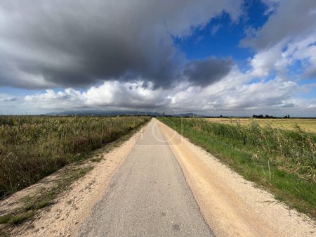 Foto de Ruta alrededor de Amposta en España - Imagen libre de derechos